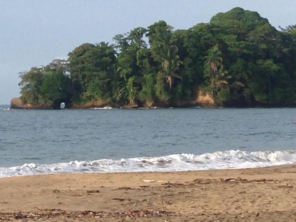 Hotel One Love Puerto Viejo Puerto Viejo de Talamanca Eksteriør bilde