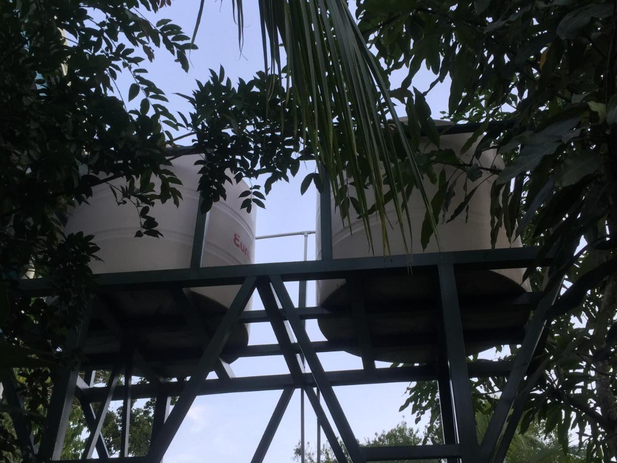 Hotel One Love Puerto Viejo Puerto Viejo de Talamanca Eksteriør bilde