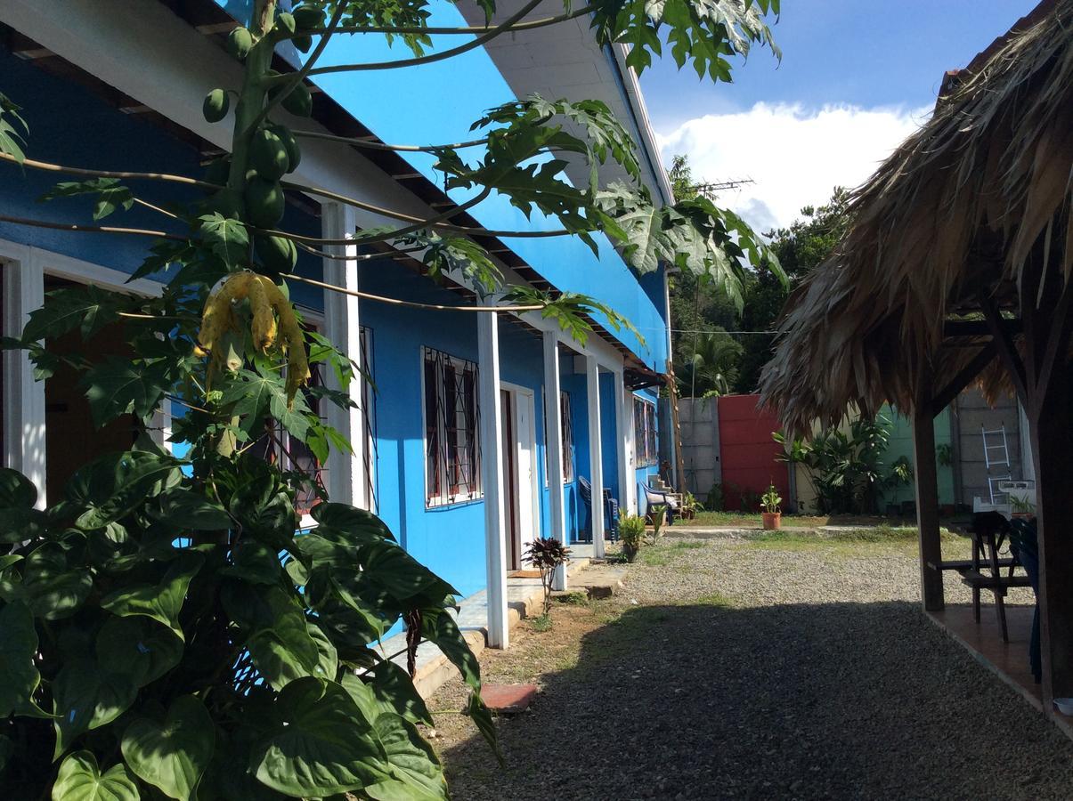 Hotel One Love Puerto Viejo Puerto Viejo de Talamanca Eksteriør bilde